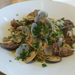 ボーノ - ボンゴレビアンコ  ちょっとアップ