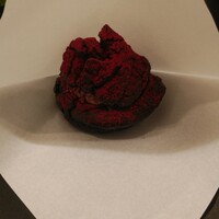 クイントカント - 