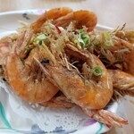 余家孔雀蛤大王 - 