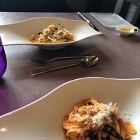 スミレオオサカ - 