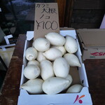 信州高山アンチエイジングの里 スパ・ワインセンター - 