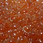 山上長福水産 福家 - 宝石のように輝く「いくら」チャン