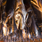 村上の千年鮭 きっかわ - 