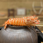 鮨旬美西川 - 車海老