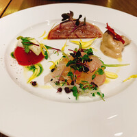 ダルマット 六本木ヒルズ店 - 