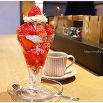 コビ コーヒー アオヤマ - 