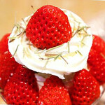 コビ コーヒー アオヤマ - 