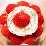 コビ コーヒー アオヤマ - 