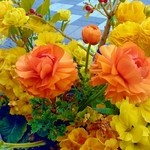 デリチュース  箕面本店 - ガーデニングのお花