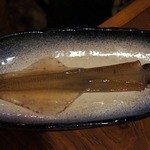 安来や - さっきまで、水槽で元気よく泳いでいたイカです。 このお店の自慢のイカ料理が楽しめるそうですよ。
