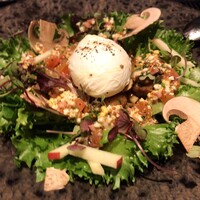 Dining & Bar TENQOO - TENQOO(TENQOO特製サラダ"山")