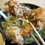 Momoyama Tei Udon Dou - 