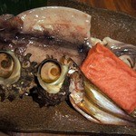 安来や - 焼き物の登場です。 浜田スルメイカ一夜干、活サザエ、浜田赤てん、鰰（ハタハタ）一夜干です。