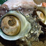 安来や - 活サザエです。