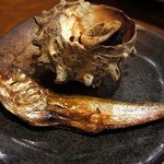 安来や - サザエとハタハタが出来上がりましたよ。 もう、この写真だけで分かっちゃいますよね。 旨いに決まっています。 日本酒がすすんで、すすんで大変でしたよ。 これを食べていて、あ～っ、島根に行きたいな～って思