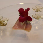 プレゼンテ スギ - 