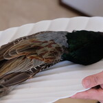 プレゼンテ スギ - 