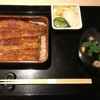 うなぎ 目白ぞろ芽 - 