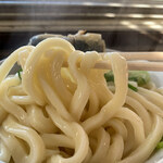 手打うどん たむら - 釜揚げ麺はモチモチ感ハンパなし