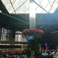 リュクス ダイニング ハプナ - 