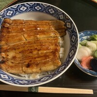 うなぎ秋本 -  うなぎ秋本 -