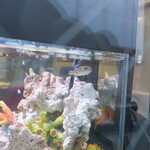 ラーメン二郎 - フグ