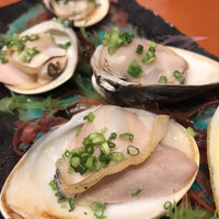 魚竹 - 