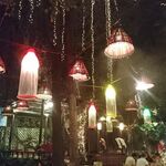 Cabbages & Condoms - 