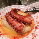 PULPO - 