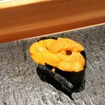 匠 進吾 - 北海道のムラサキウニ