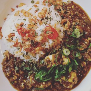 狭山カレー工房 りとるほっと。_0