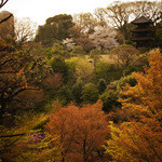 ル・ジャルダン - テラス席からは庭園が一望できます