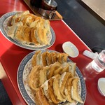 Gyouza senmon ten masashi - 焼餃子