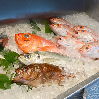 当店では神経締めや血抜きをした魚を熟成をしております