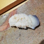 鮨 弁慶 海 - ほっき