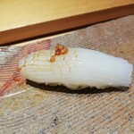 鮨 弁慶 海 - 烏賊