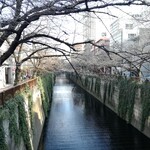 Felicelina - 冬の目黒川