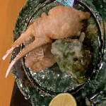 馳走菴 ひじり - 