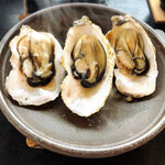 Ikadasou Sanjou - 焼牡蠣