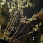 たべごと屋 ござる - 