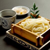冷やし稲庭うどん
