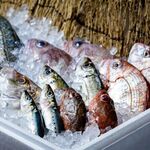 Saninkaisen Robata Kaba - 毎日新鮮な魚を仕入れてお待ちしております！