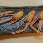 海つばめ - クモエビ