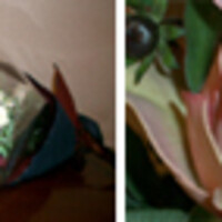 ラ・リリアーナ - 