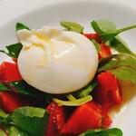 ノッティーヴァゴ - 