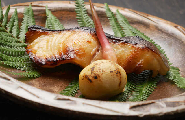 銀鱈の西京焼き