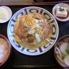 土佐うどん - 料理写真:かつとじ