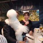 エビスエスクラッシコ - まぁ〜なんと！よじのぼり