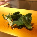 鮨 あらい - わかめ、カイワレ、プッチーナ