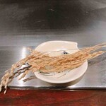 秋田牛鉄板焼 銀座五明 - みほうまれ